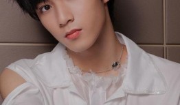 王子爆料刘耀文视频播放,揭秘背后惊人真相