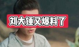刘大锤爆料谐星预告视频,谐星预告视频引期待，笑料连连悬念重重