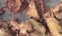 今日头条爆料卤肉,卤肉界的传奇秘方大公开！