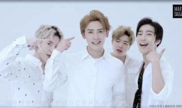 小蘑菇爆料视频,幕后真相大起底