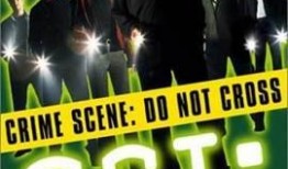 第8视频在线观看,揭秘精彩瞬间，重温难忘时刻