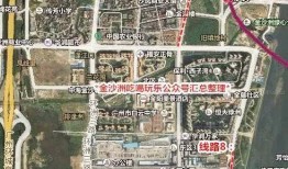 金沙洲爆料新闻最新,揭秘事件背后惊人真相