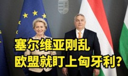 欧洲的最新爆料,揭秘神秘事件背后的真相