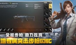 爆料绝地求生视频大全集,视频大全集深度解析，揭秘游戏精彩瞬间