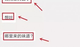 金沙洲爆料新闻最新,揭秘事件背后惊人真相