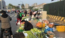 爆料东北早市视频,视频曝光传统市井生活百态