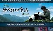 熊猫回家路在线观看,穿越山川的温馨归途