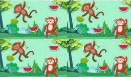 娃娃吃瓜故事大全集免费观看,免费畅享欢乐时光