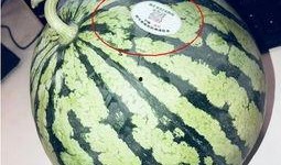 大理祥云网红吃瓜,揭秘大理美食新潮流