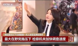 董博老婆爆料视频播放,揭秘背后真相