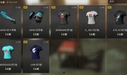 pubg皮肤爆料最新,最新Pubg皮肤爆料，潮流元素一网打尽！