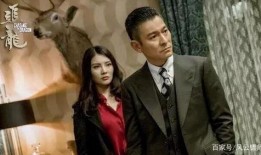 追龙在线免费观看,重温黑帮传奇，热血沸腾的江湖岁月