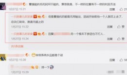 拍视频爆料给谁举报了有用吗,揭秘举报途径的有效性