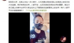 乐东官员爆料视频曝光,揭秘背后真相