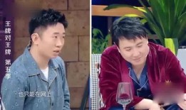 春晚杨迪爆料视频在线观看,揭秘幕后精彩瞬间