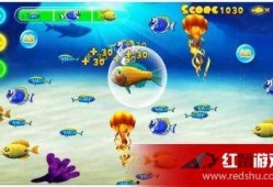 鲨鱼爆料开挂视频在线观看,独家视频带你直击游戏现场