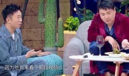 春晚杨迪爆料视频在线观看,揭秘幕后精彩瞬间