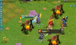 宝箱爆料视频大全,揭秘宝藏背后的神秘故事