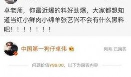 卓伟爆料娱乐圈背景,卓伟爆料背后的真相与内幕