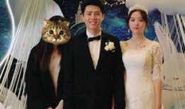 大叔结婚爆料视频大全最新,温馨瞬间与感人瞬间大盘点