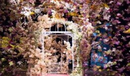 移动的花房在线观看,跟随镜头探索花房之美