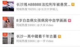 湖南新闻爆料视频最新版,揭秘事件真相，追踪热点动态