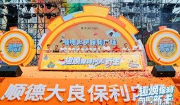 顺德大良最新爆料,揭秘城市变迁背后的故事