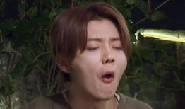 爆料鹿晗父母催婚视频,明星家庭催婚背后的温馨故事