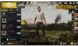 爆料绝地求生视频大全集,视频大全集深度解析，揭秘游戏精彩瞬间