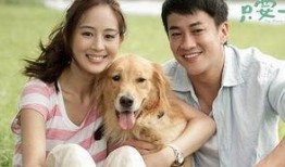 我的狗狗男友在线观看,在线观看浪漫瞬间